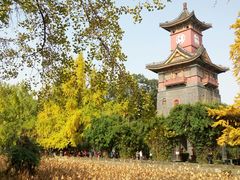 -四川大学(华西校区)