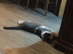 -后院儿·精酿·塔罗Happy Bar