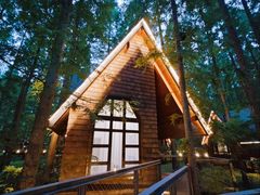 -黄海国家森林公园