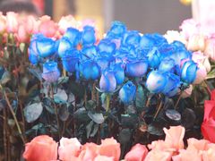 -越秀西湖花市(广州城市广场花卉店)