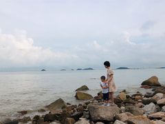 -野狸岛