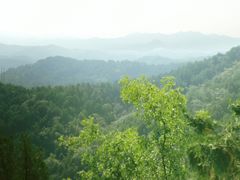 -磬锤峰森林公园