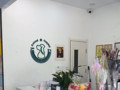-中农国际动物医院24小时·猫科·骨科·急重症中心