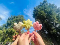 -八大处公园