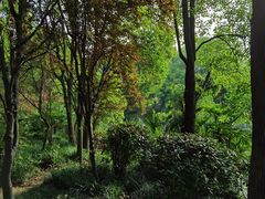 -南通濠河风景名胜区