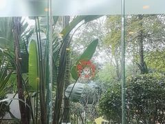 -海兰云天度假区温泉