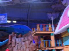 -烟台海昌鲸鲨海洋公园