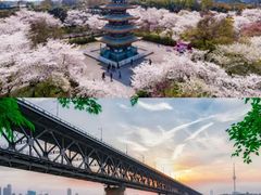 -海合安武汉极地海洋公园