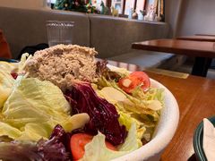 金枪鱼蔬菜沙拉-IFIF 如果花園(宽厚里店)