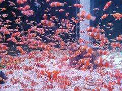 -海合安成都极地海洋公园