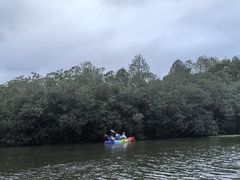 -上海海湾国家森林公园