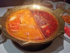 -九鼎轩脆毛肚火锅(三钢里店)