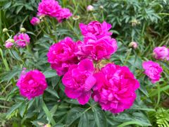 -李小龙乐园(顺德均安店)