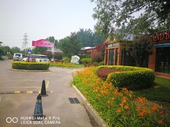 -普兰达德国餐厅·德式脆皮烤猪肘·自酿啤酒(观唐店)