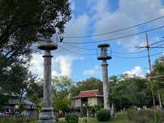 -奥兰多迪士尼动物王国乐园