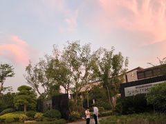 -上海崇明金茂凯悦酒店