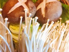 -同仁四季椰子鸡(宝安壹方城店)