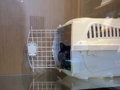 -悠尼宠物·独立低压伊珊娜洗护·美容·寄养(兰谷路店)