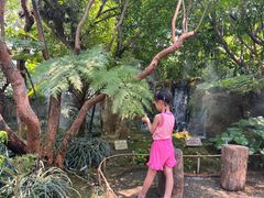 -Chom Cafe and Restaurant