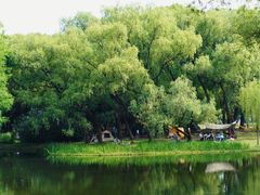 -上海共青森林公园