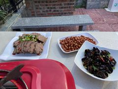 -墨脱石锅椰子鸡•香草鸭•东山羊(大东海店)