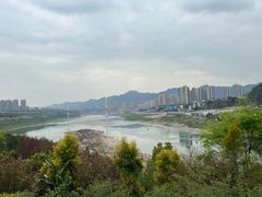 -金海湾滨江公园