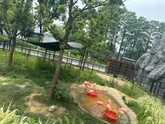 -武汉动物园