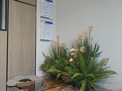 -成寿寺(地铁站)