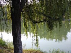 -滨湖塘西河公园