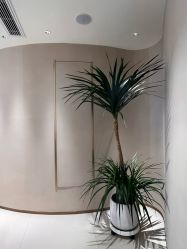 -深圳芙必优医疗美容·抗衰中心