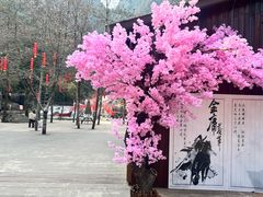 -刘伯温故里景区百丈漈