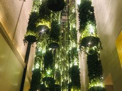 -顶层酒吧ROOF(上海艾迪逊酒店)