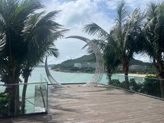 -东澳岛