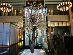 -成都安仁福朋喜来登酒店