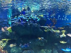 -华夏文旅海洋公园