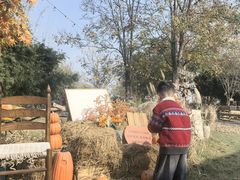 -HERRE·FARM 赫尔露营农场·团建聚会包场