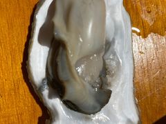 -南蚝小贝海鲜特色餐厅(南澳岛店)