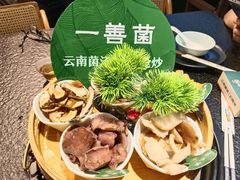 -一善菌·云南菌汤·云南菜(银泰城店)