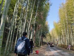 -黄公望隐居地