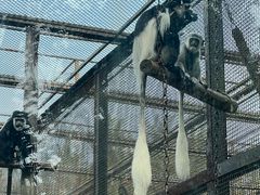 -石家庄市动物园