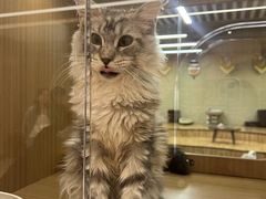 -朵云书院(滴水湖店)