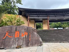 -天目山大树王景区