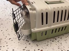 -瑞派康怡24h宠物医院·犬猫医疗中心·微创绝育(瑞景分院)