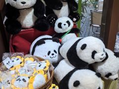 -轩客会(熊猫书店)