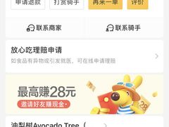 -油梨树AVOCADO TREE(望京店)