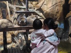 -哈尔滨波塞冬海底世界