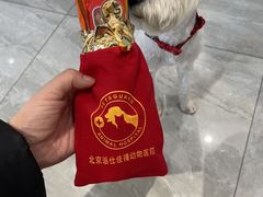 -北京派仕佳德动物医院·超导核磁·CT·神经科·骨科·内外科·急重症管理中心