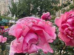 -贮水山儿童公园