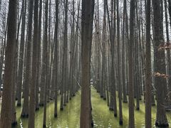 -采石矶景区