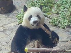 -乐和乐都主题乐园
